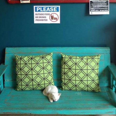 Monkey Dive Hostel Khaolak Khao Lak Ngoại thất bức ảnh
